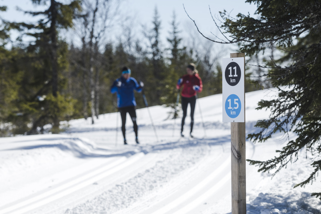 Två längdskidåkare står i Toppspåret